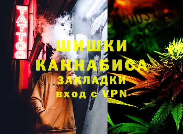 гашик Верея