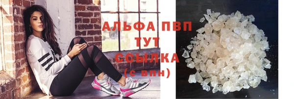 гашик Верея