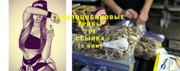 гашик Верея
