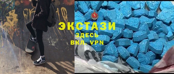 гашик Верея