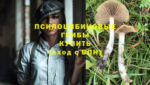 МДПВ Верхнеуральск