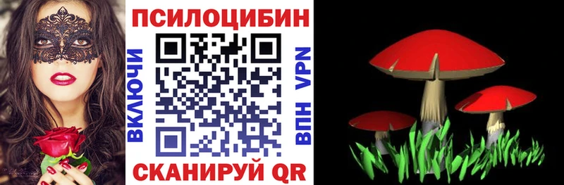 Галлюциногенные грибы Psilocybe  сколько стоит  Чулым 